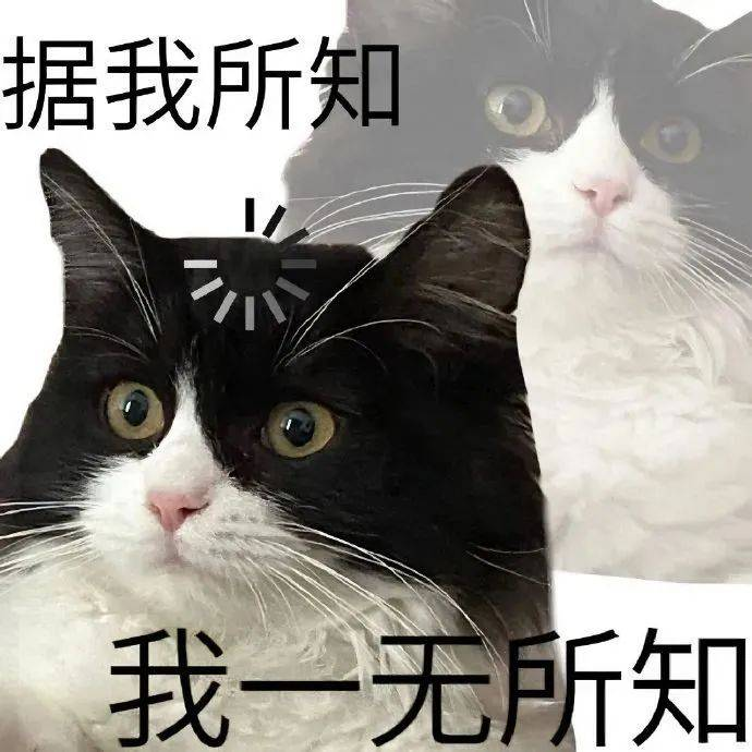 逻科斯考研整理考研er必备备考网站，你知道几个？