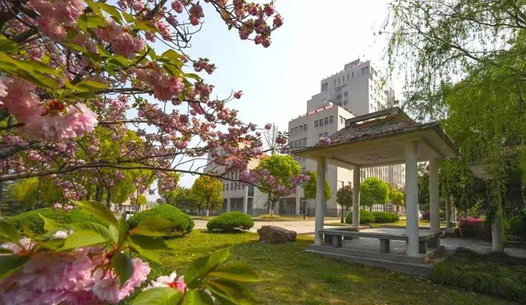 逻科斯整理2024双非大学100强，25择校不再慌！