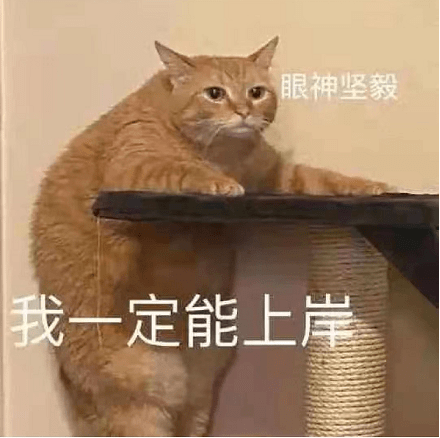 逻科斯提示：“考研刺客”来袭！快来了解一下！