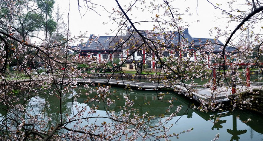 逻科斯考研：欢迎学子报考南京师范大学研究生！