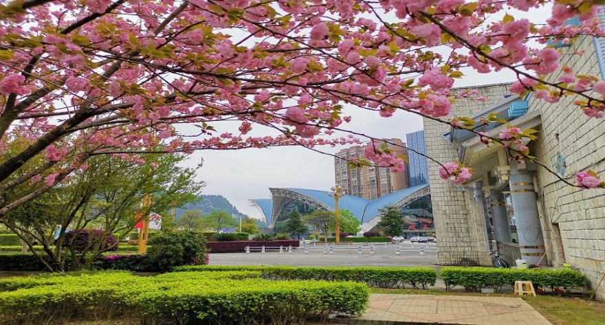 逻科斯考研：欢迎学子报考黔南民族师范学院研究生！