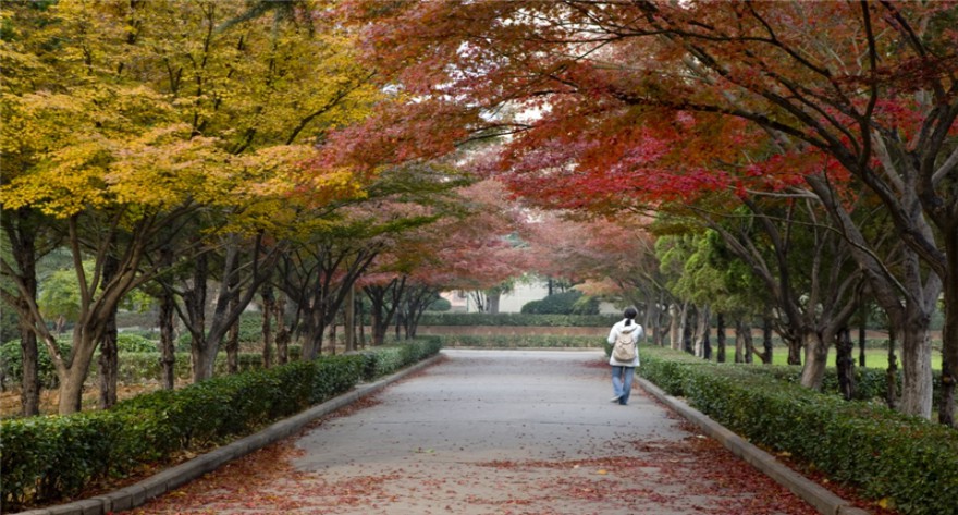 逻科斯考研：欢迎学子报考河南科技大学研究生！