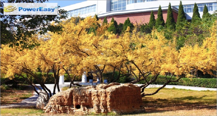 逻科斯考研：欢迎学子报考淮北师范大学研究生！