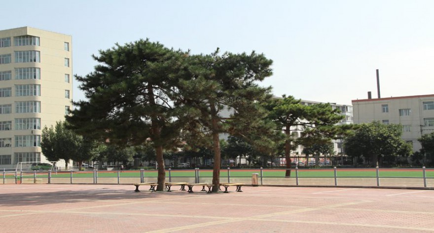 逻科斯考研：欢迎学子报考内蒙古艺术学院研究生！