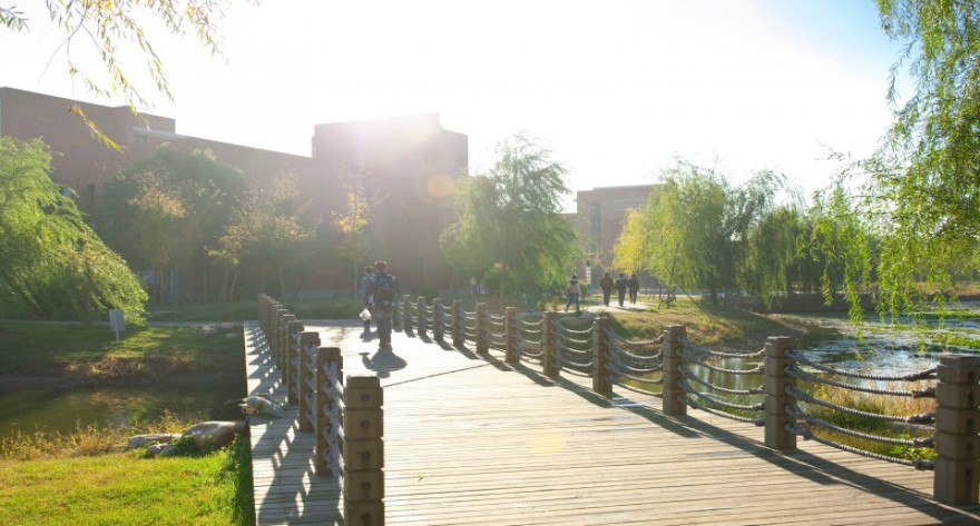 逻科斯考研：欢迎学子报考沈阳工业大学研究生！