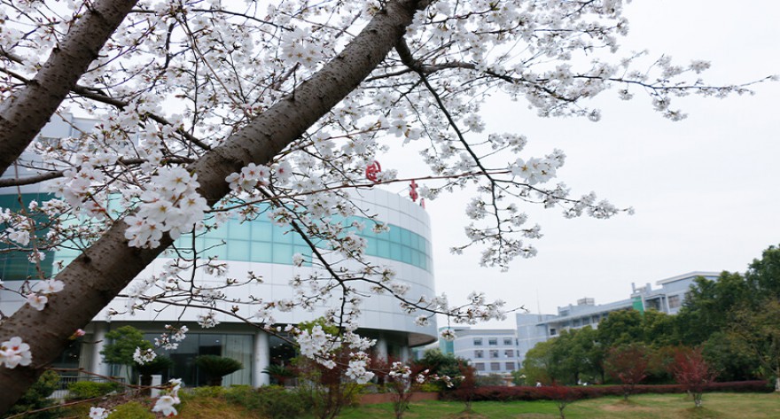 逻科斯考研：欢迎学子报考武汉工程大学研究生！