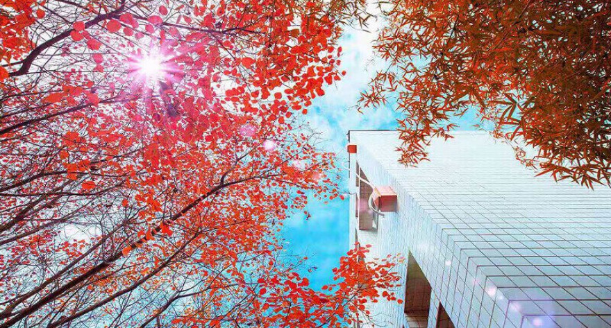 逻科斯考研：欢迎学子报考南阳师范学院研究生！