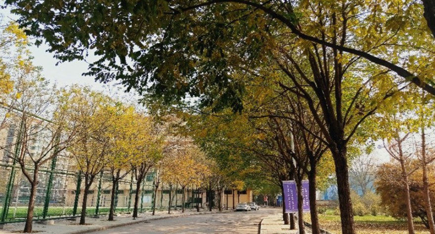 逻科斯考研：欢迎学子报考中北大学研究生！