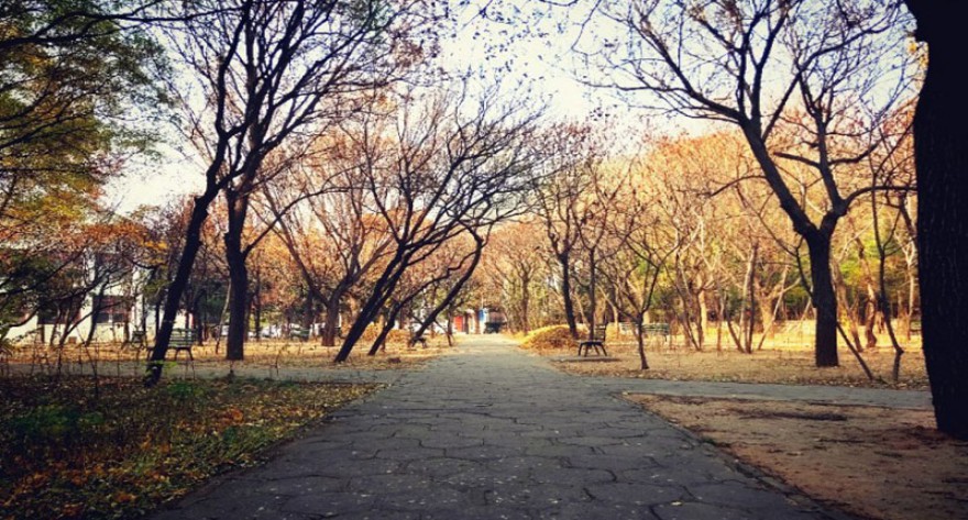 逻科斯考研：欢迎学子报考中北大学研究生！