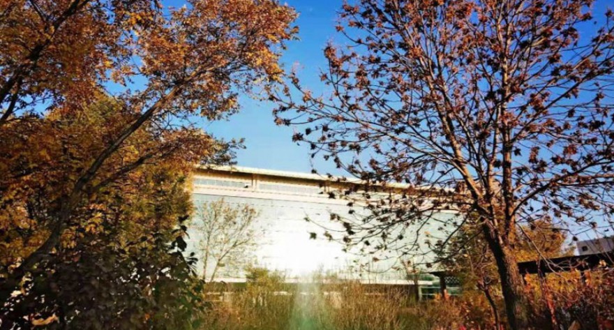 逻科斯考研：欢迎学子报考山西财经大学研究生！