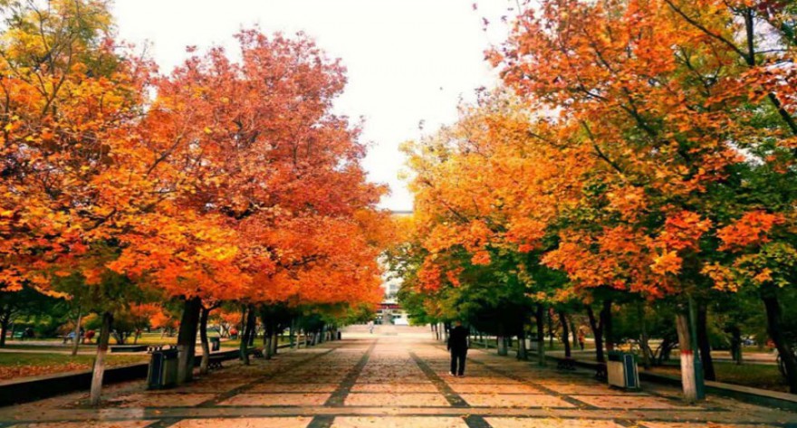 逻科斯考研：欢迎学子报考太原理工大学研究生！