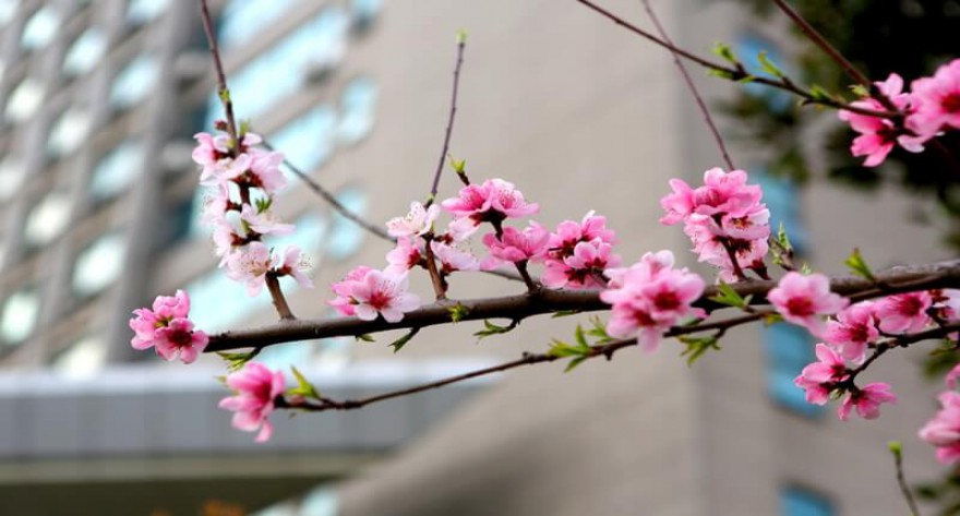 逻科斯考研：欢迎学子报考浙江工业大学研究生！