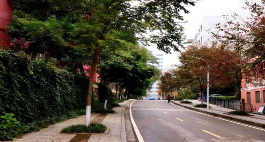 逻科斯考研：欢迎学子报考中南林业科技大学研究生！