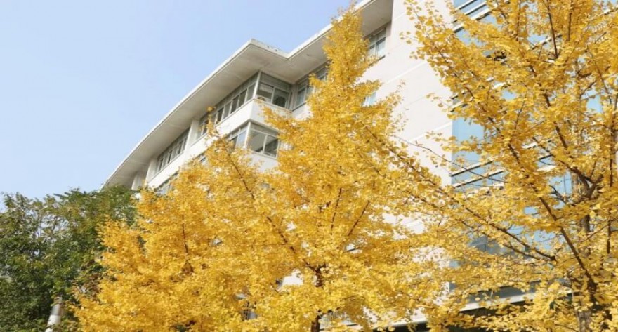 逻科斯考研：欢迎学子报考中南林业科技大学研究生！