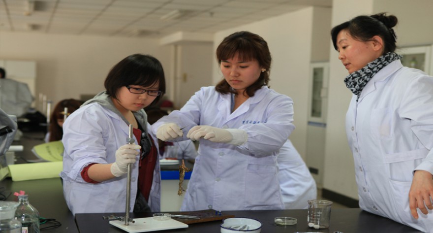 逻科斯考研：欢迎学子报考辽宁中医药大学研究生！