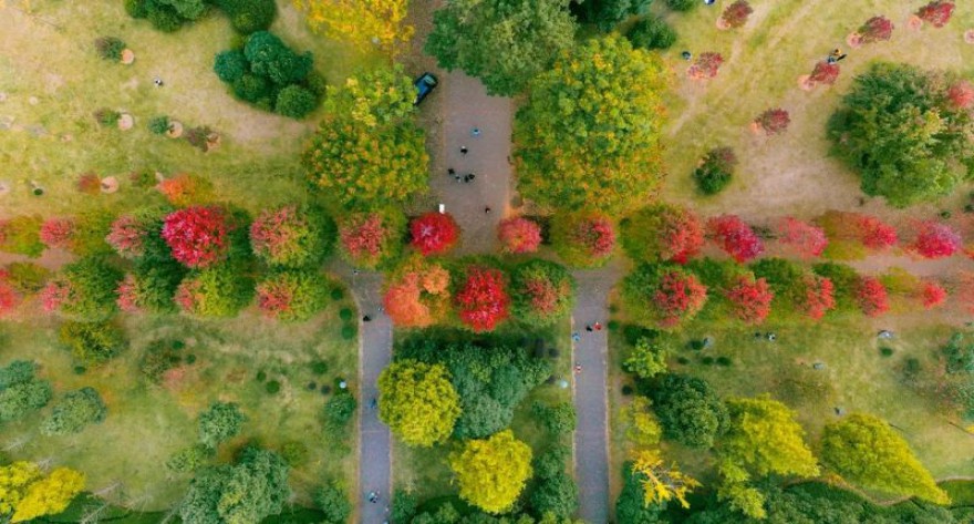 逻科斯考研：欢迎学子报考湖南农业大学研究生！