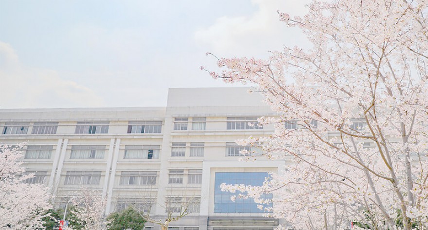 逻科斯考研：欢迎学子报考上海对外经贸大学研究生！