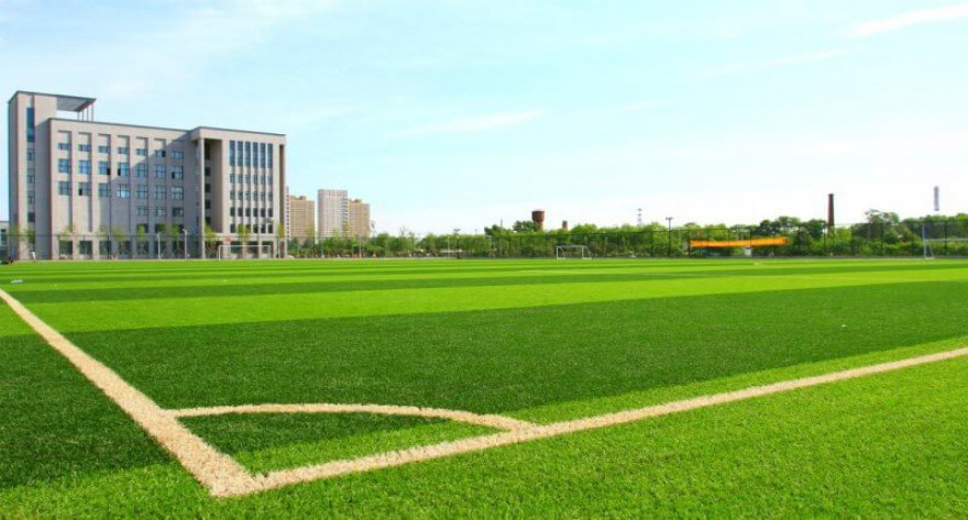 逻科斯考研：欢迎学子报考东北农业大学研究生！