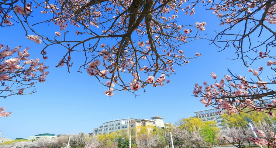 逻科斯考研：欢迎学子报考吉林大学研究生！