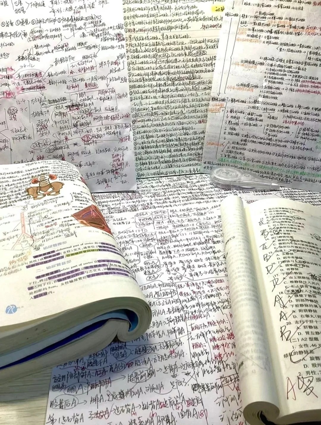 逻科斯考研:研究生备考之暑假在家攻略大揭秘