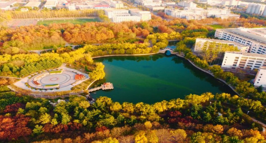 逻科斯考研：欢迎学子报考青岛农业大学研究生！