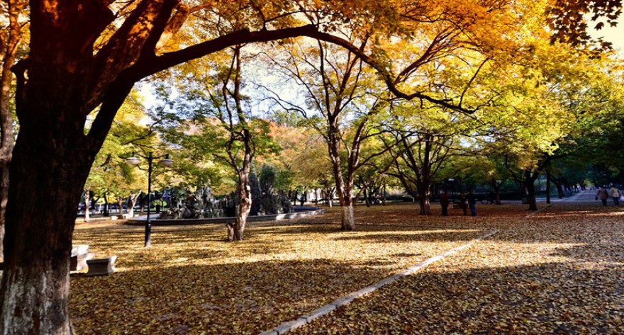 逻科斯考研：欢迎学子报考山东大学研究生！