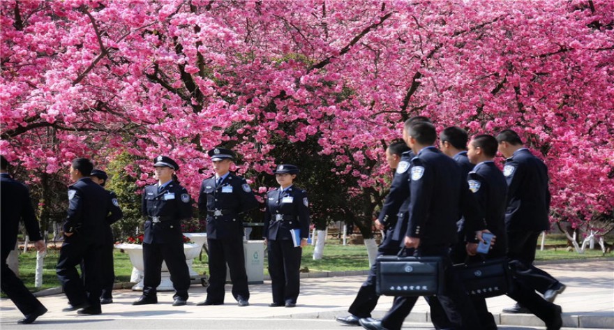 逻科斯考研：欢迎学子报考云南警官学院研究生！