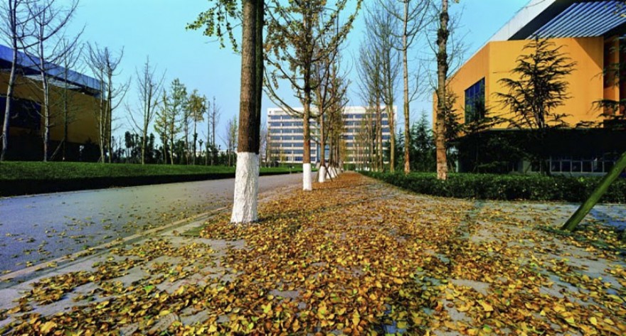 逻科斯考研：欢迎学子报考重庆科技大学研究生！