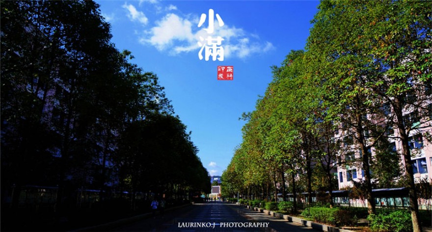 逻科斯考研：欢迎学子报考西南科技大学研究生！
