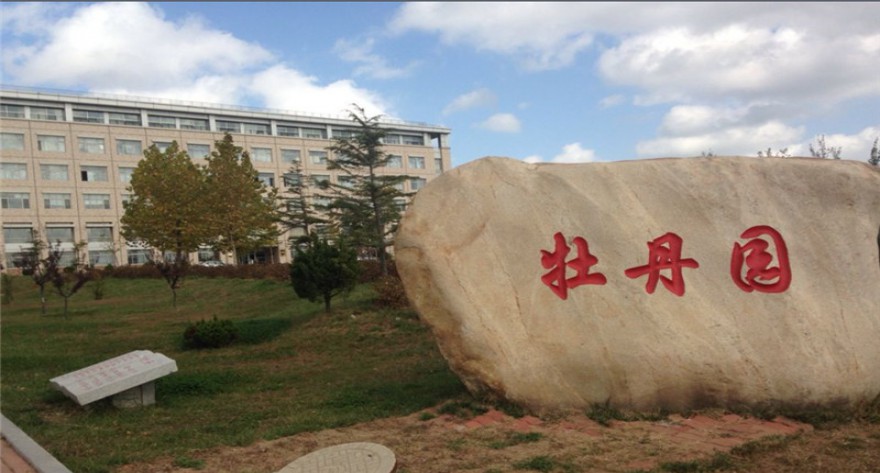 逻科斯考研：欢迎学子报考鲁东大学研究生！