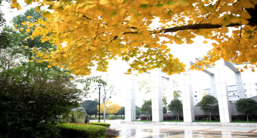 逻科斯考研：欢迎学子报考成都中医药大学研究生！