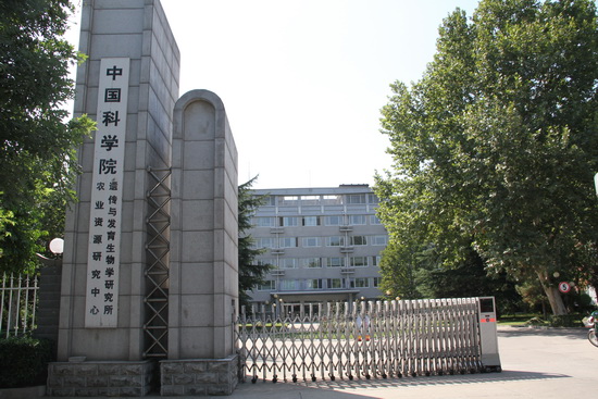 逻科斯考研：欢迎学子报考中国科学院遗传与发育生物学研究所农业资源研究中心研究生！