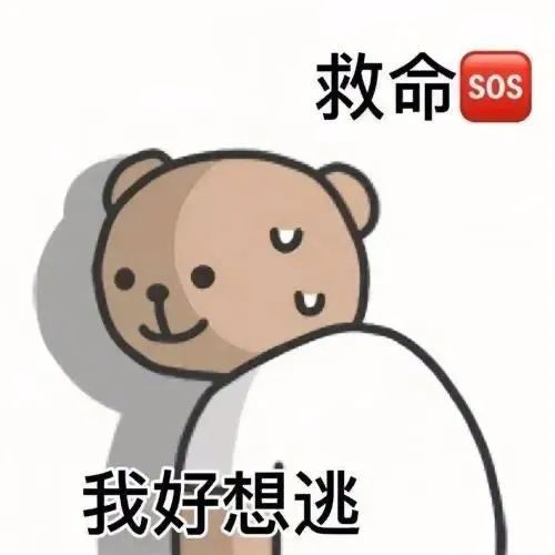 逻科斯考研：那些边工作边考研的人是怎么撑下去的……