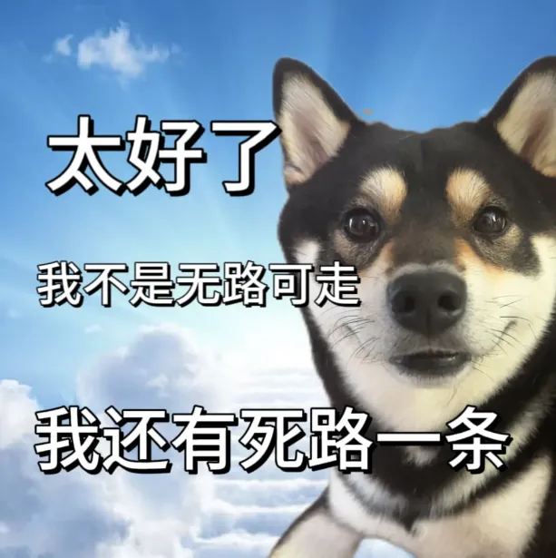 逻科斯考研：考研人的结局（扎心版）