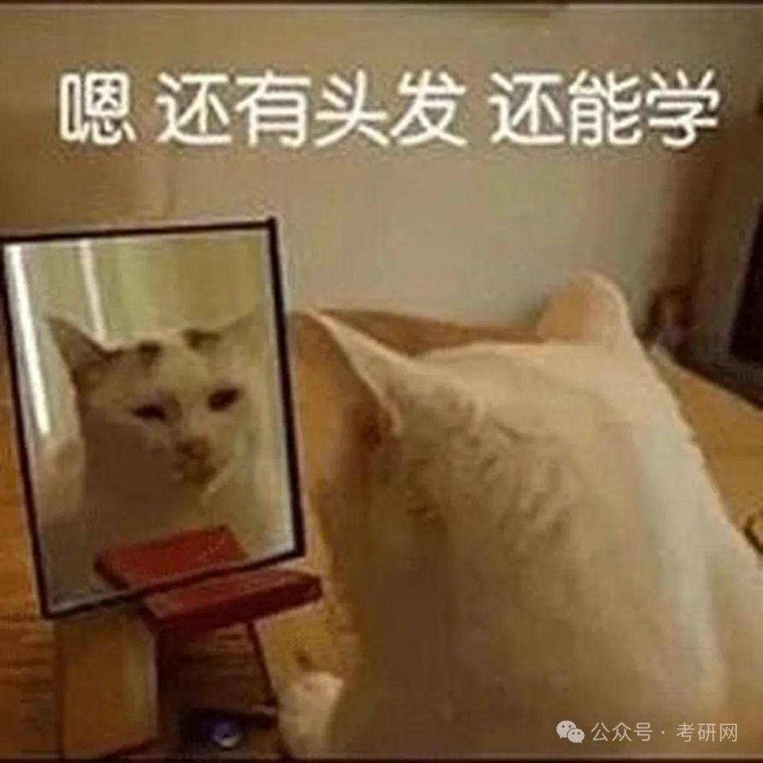 逻科斯考研：冲刺阶段需要5点起床吗···？