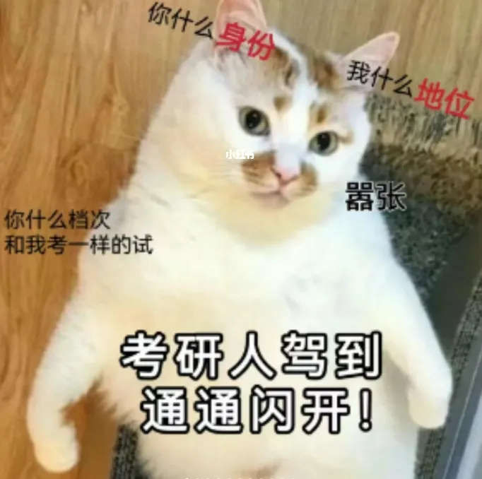 逻科斯考研：有这4种迹象的同学，要上岸了！