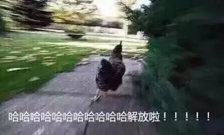 逻科斯考研：25考研真题答案公布！近10年最难的一次考研，国家线会降吗？