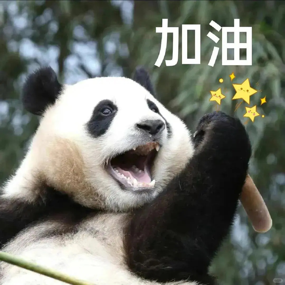 逻科斯考研：25考研出成绩时间定了！