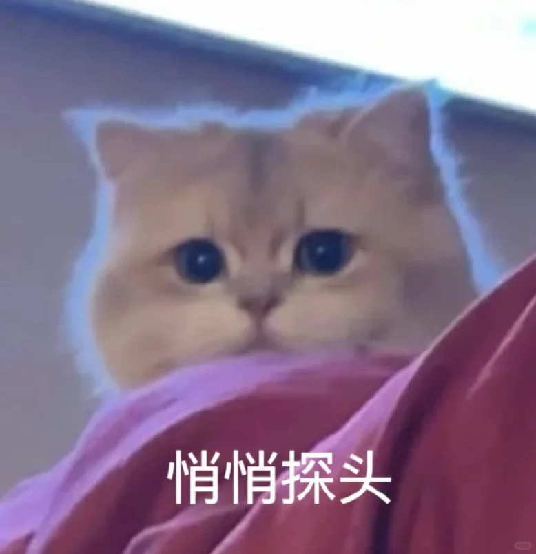 逻科斯考研：超60万考研人弃考！今年是捡漏上岸的一年？