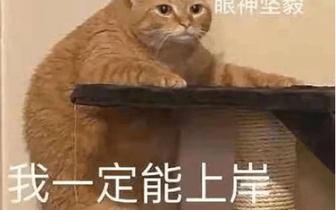 逻科斯考研：院校推荐！不考数学，适合跨考的文物与博物馆专业~